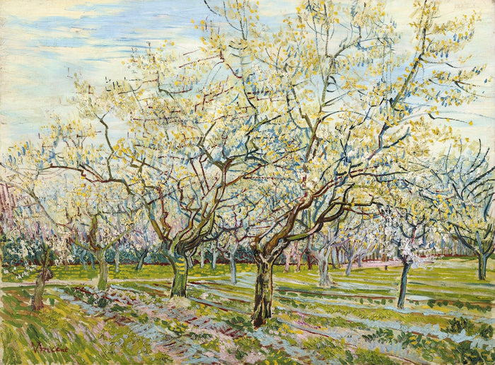 El huerto blanco, Van Gogh